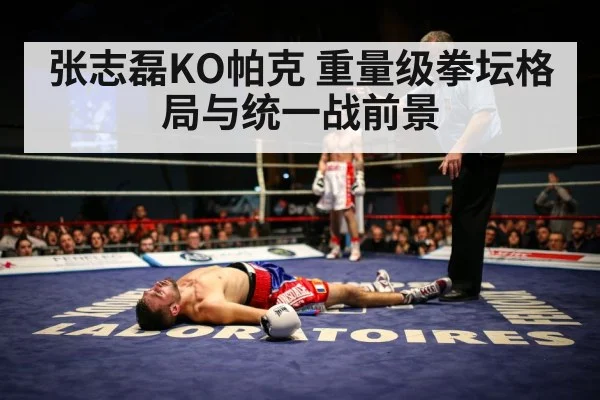 张志磊KO帕克 重量级拳坛格局与统一战前景
